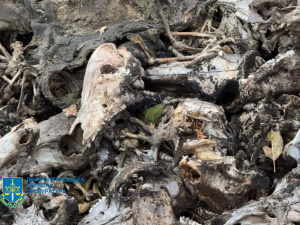 Незаконні відходи, фото Дніпропетровської обласної прокуратури 