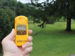 Фото із мережі Інтернет