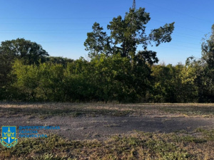 Хотіли вкрасти криворізький ліс: Апостолівській громаді повернули землі лісового фонду