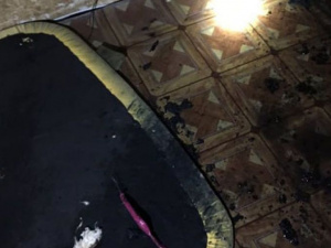 Фото пресс-службы ГСЧС Днепропетровской области