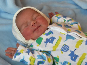 Фото із мережі Інтернет