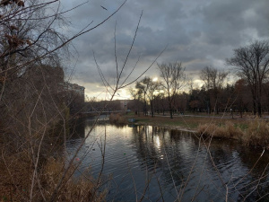 Чим жив Кривий Ріг цього тижня? Головні події міста