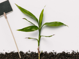 Фото: Depositphotos