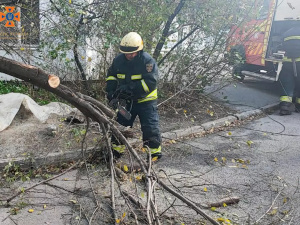 Допомагають населенню та комунальникам: на Дніпропетровщині надзвичайники ліквідовують наслідки негоди