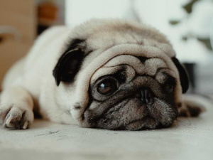 Фото з відкритих джерел