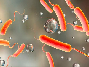 Фото з відкритих джерел