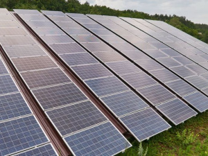 Фото із мережі Інтернет