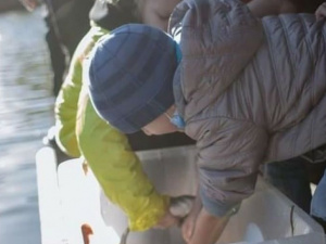 Фото: БФ "Громадська ініціатива мешканців Кривбасу"