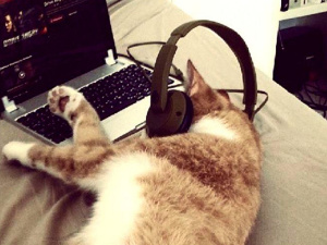 Фото з відкритих джерел