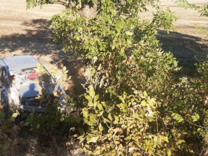 Фото ГУ ДСНС України у Дніпропетровській області