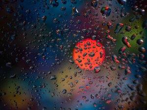 Зображення від Freepik