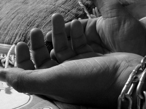 Фото з відкритих джерел