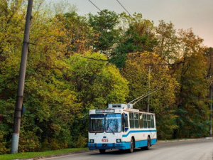 Фото из сети Интернет