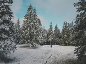 Погода на вікенд - фото ілюстративне з відкритих джерел  