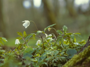 Фото із мережі Інтернет