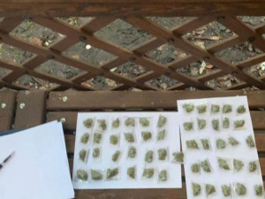 Фото пресс-службы полиции Днепропетровской области