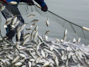 Фото з відкритих джерел