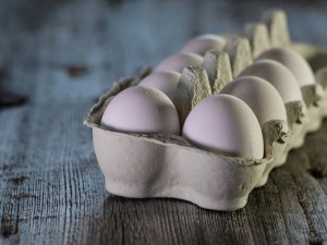 Фото із мережі Інтернет