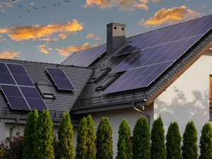 Фото з відкритих джерел