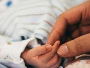 Фото из сети Интернет