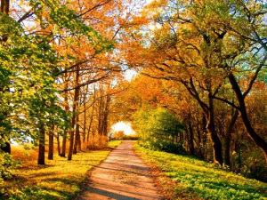 Фото з відкритих джерел