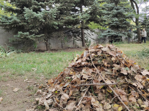 Фото редакції krivbass.city