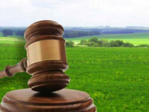 Фото з відкритих джерел