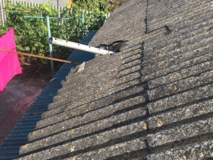 Фото: Микола Лукашук (Telegram)