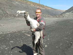Фото пресслужби компанії Метінвест