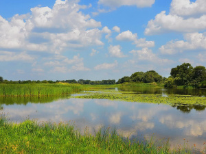 3 березня: який цей день в історії та у календарі свят