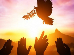 Зображення із мережі Інтернет