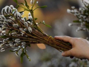 Вербна неділя 2021: звичаї та прикмети дня