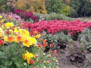 Фото пресслужби компанії Метінвест