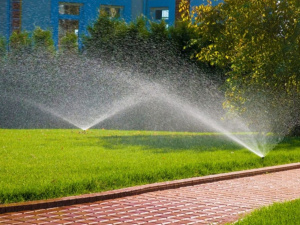 Полив без помилок - фото з відкритих джерел