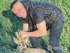 Порятунок косулі, фото Національної поліції України
