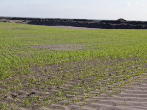 На Північному ГЗК вийшли на новий рівень боротьби із пилом