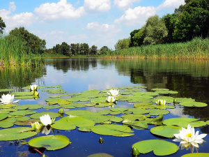 Погода на тиждень - фото ілюстративне з відкритих джерел 