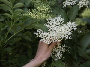 Фото з відкритих джерел