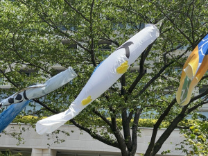 Фото Зоя Скоропаденко\ Facebook 