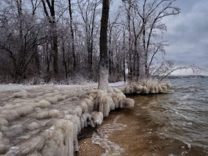 Фото Анатолія Урбана Новака 