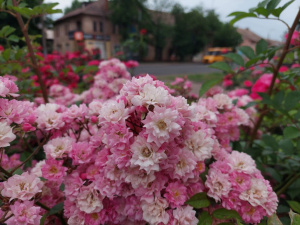 14 червня заборонено довго спати та сваритися: прикмети та традиції цього дня