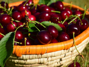 Фото з відкритих джерел   