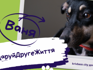 Зображення редакції krivbass.city