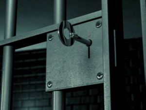 Фото из сети Интернет