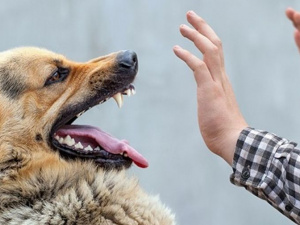 Фото із мережі Інтернет