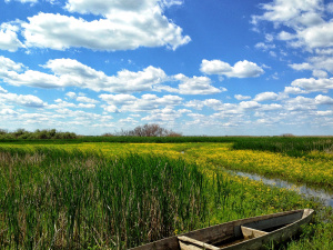 Погодна тиждень - фото ілюстративне з відкритих 