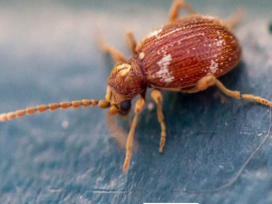 фото з відкритих джерел