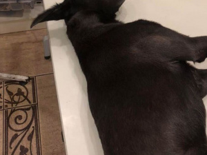 Фото зі сторінки Артема Пушкова у Facebook