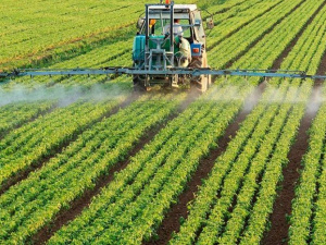 Фото із мережі Інтернет