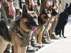 Фото пресс-службы воинской части 3011 Национальной гвардии Украины 